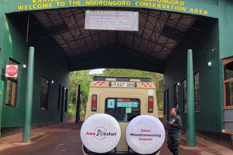 3 Days Tanzania Classic Safari Adventures