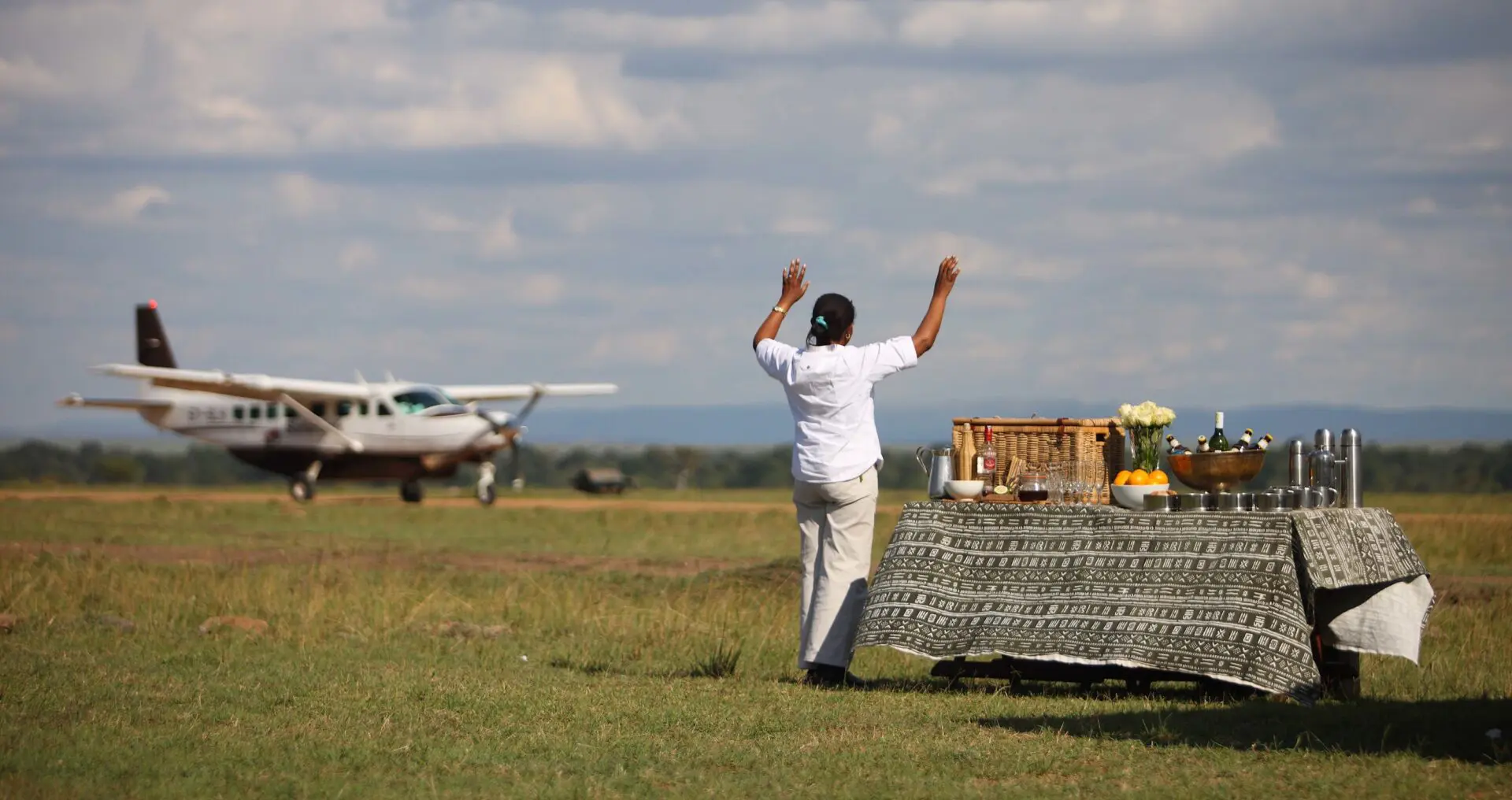 Domestic Flights to Serengeti National Park