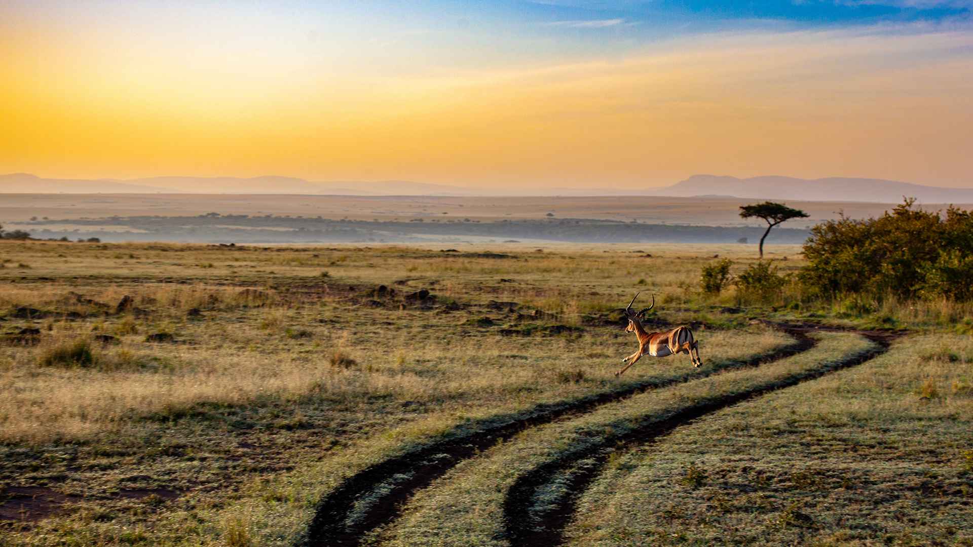 Best Time of the year to Visit Tanzania for a Safari Adventure