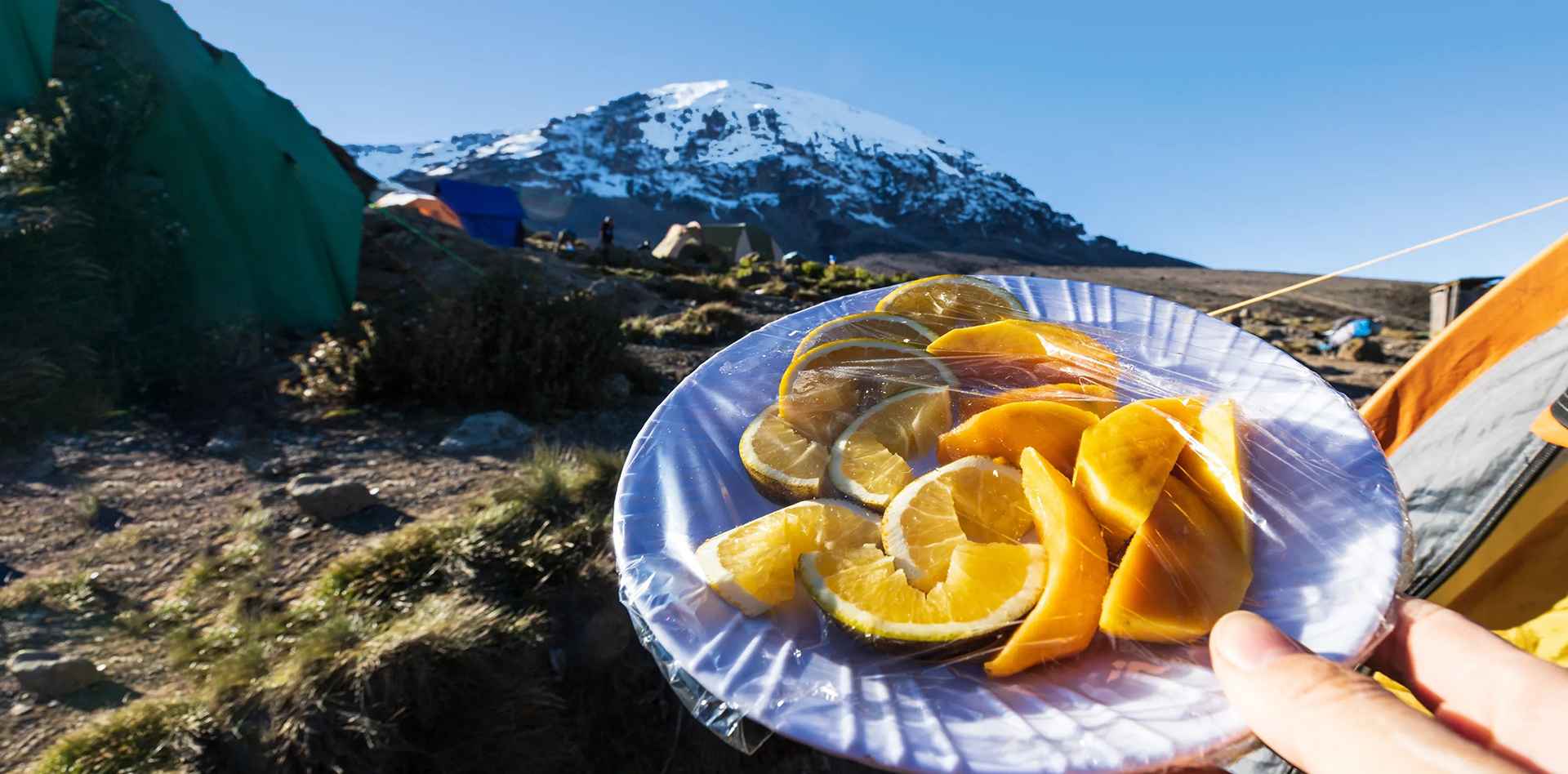 Vegan and Vegetarian Food Options on Mount Kilimanjaro