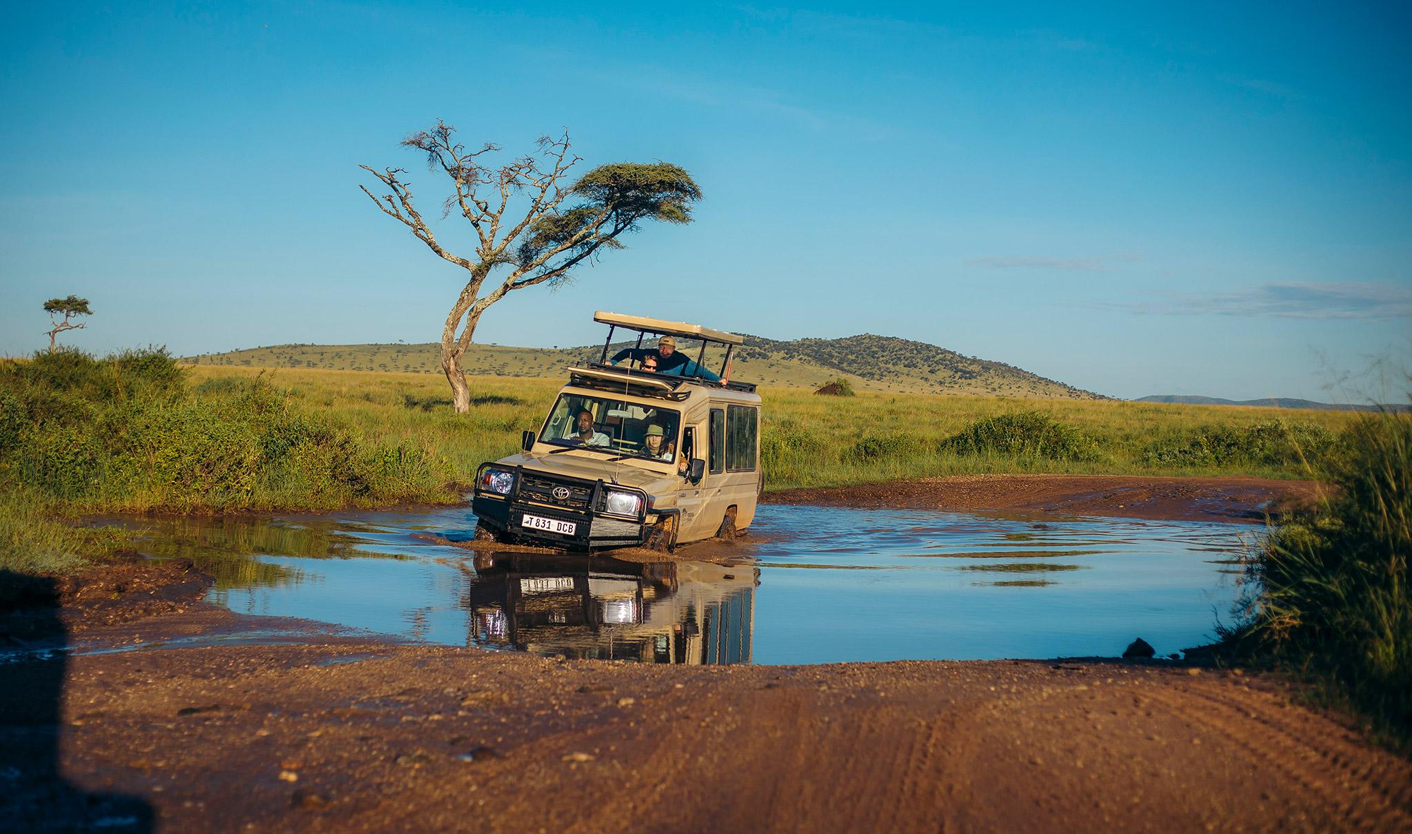 Best Time of the Year to Visit Tanzania for a Safari Adventure