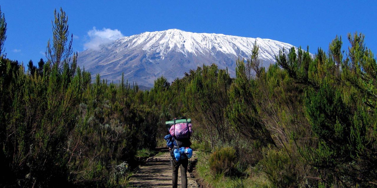 Understanding Kilimanjaro Park Fees and Climbing Costs