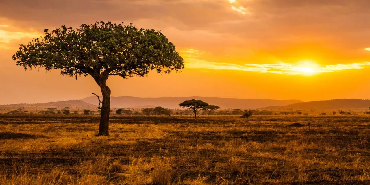 How to Get to Tanzania – Complete Travel Guidance by Awe Safari